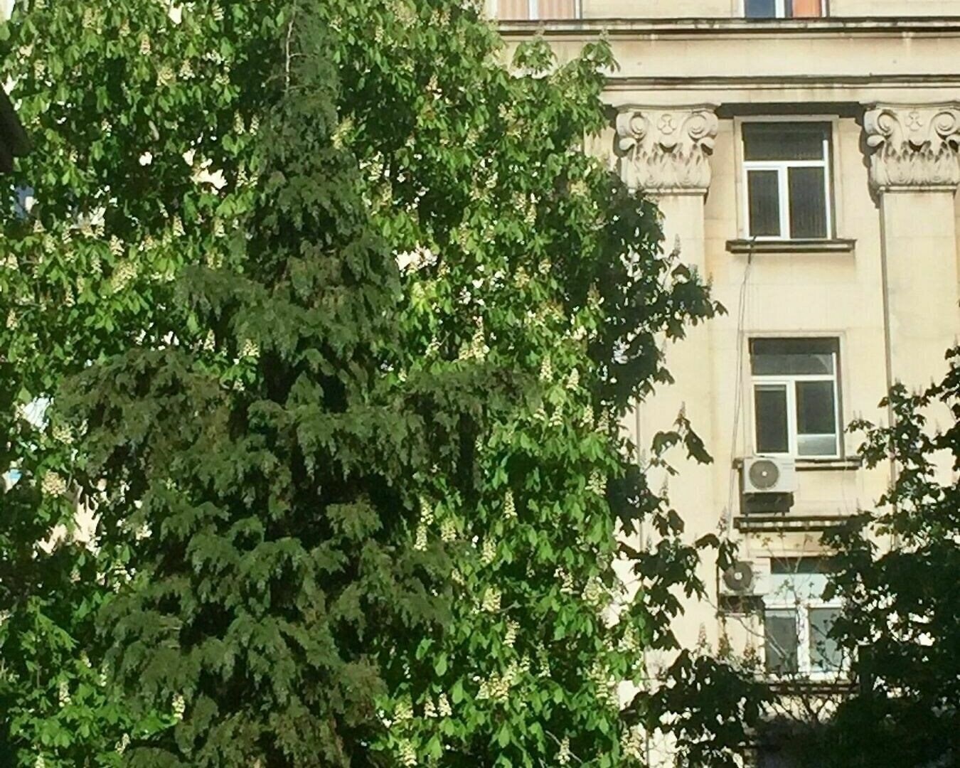 Територія Apartments Next To Opera 1*